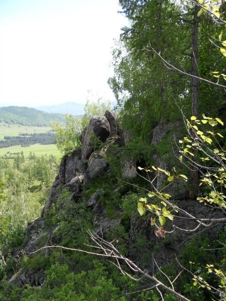 Продам МУМИЁ 100%