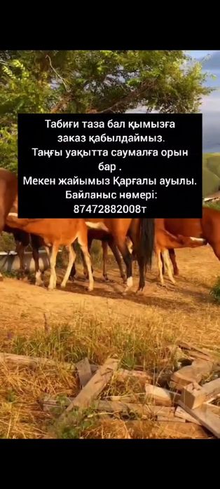 Таза табиғи бал қымыз