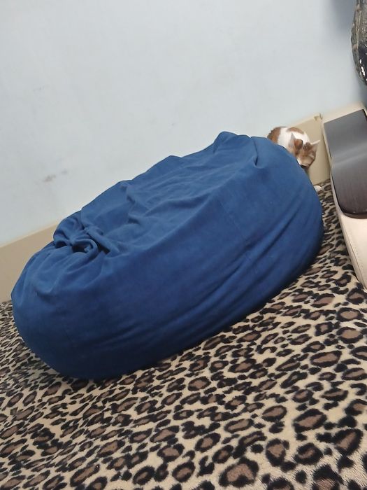 Пуфик б/у целый ,чучуть шерсти