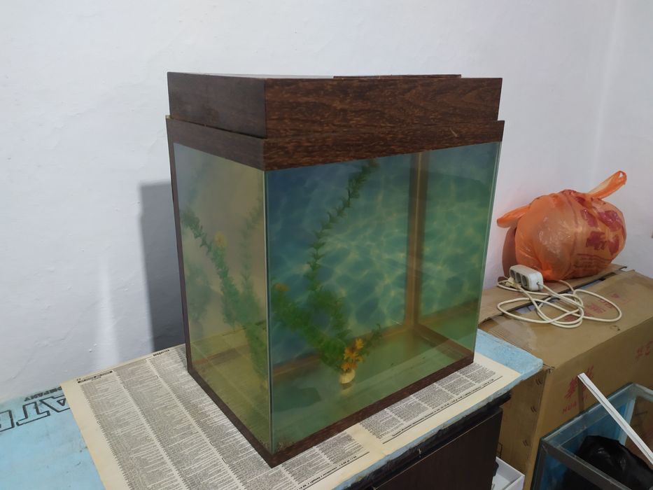 Аквариум 41л + бонусы и рыбки.