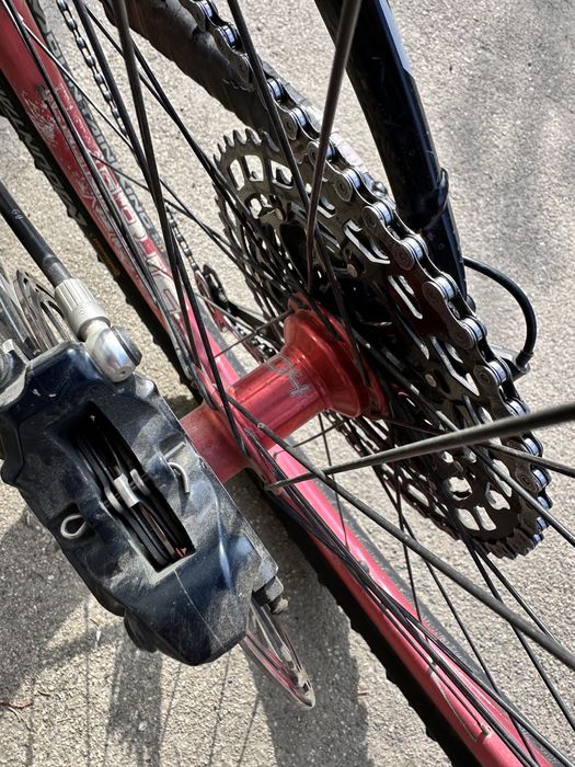 Giant Glory 8.0  2012