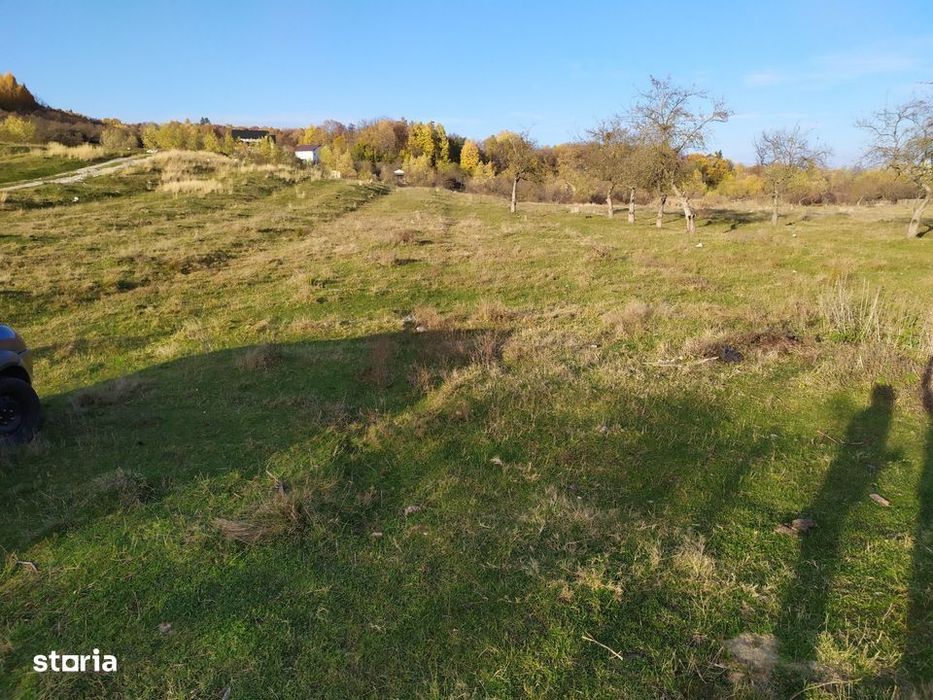Proprietar Teren intravilan DE VÂNZARE Campina-PH (negociabil)