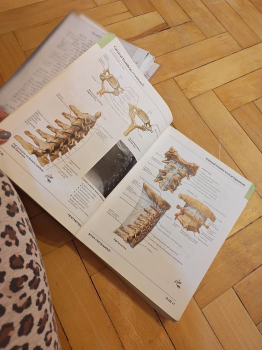 Atlas of human anatomy