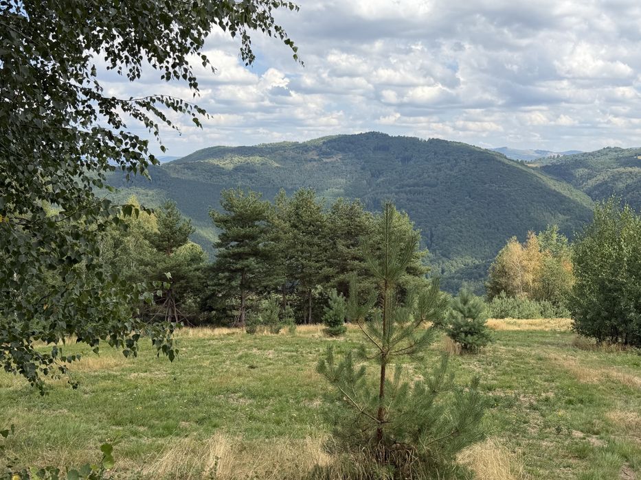 Teren în Damiș cu panoramă superbă spre Vlădeasa – altiudine 820 m, curent și apă la limită
