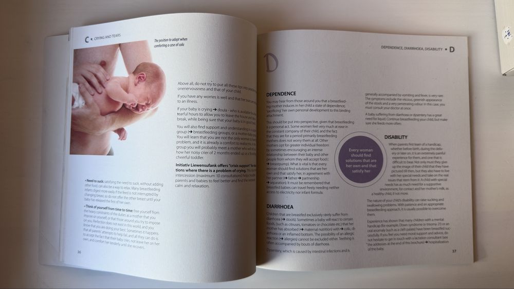 The Day-by-day Baby Book