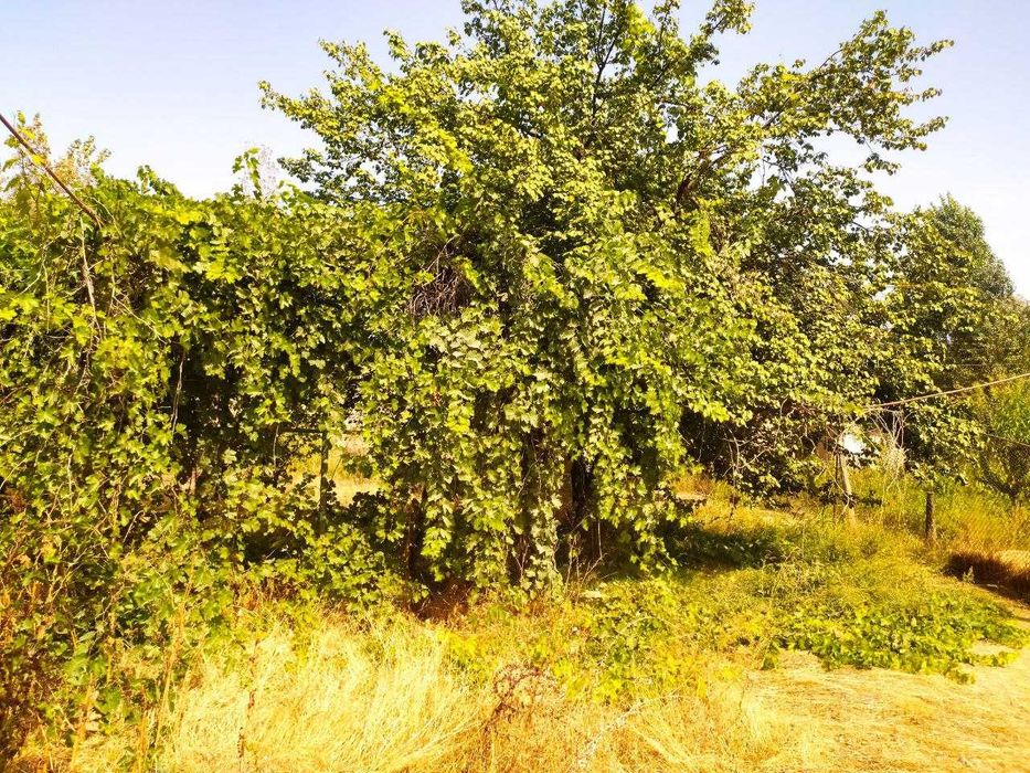 Срочно Продам Дом