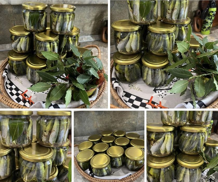 Продавам Паламуд 20лв и сафрид 15лв