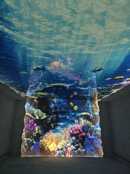 Соляная комната, Соленая пешера, Галокамера, Тузхона, Tuzxona.