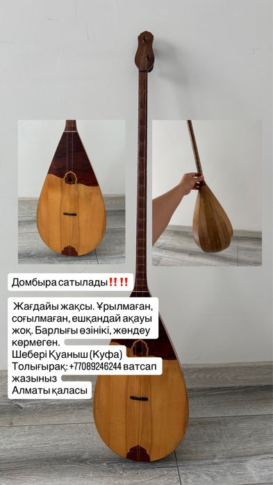 Домбыра кәсіби музыкалық аспап