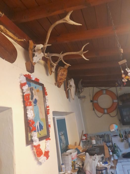 Сръндак-Лопатар-Благороден елен