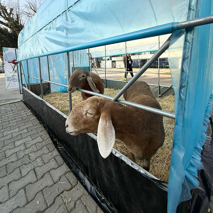 Koreya issiqxonalari, issiqxona uchun materiallar