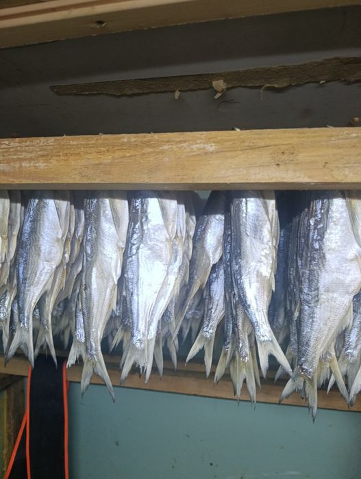 Вялиная рыба чяхон