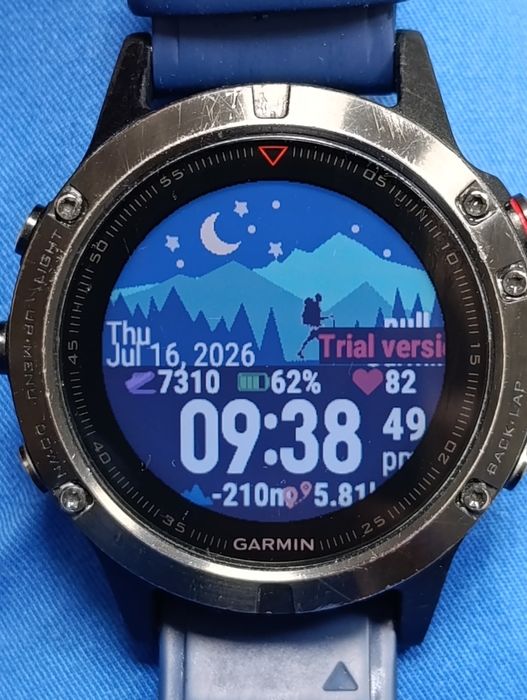 Garmin fenix 5 smartwatch