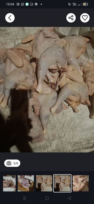 куры домашние 2500 за кг