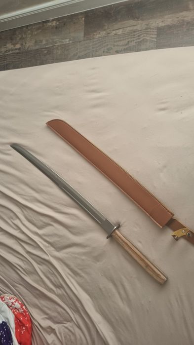 Голяма сабия нова