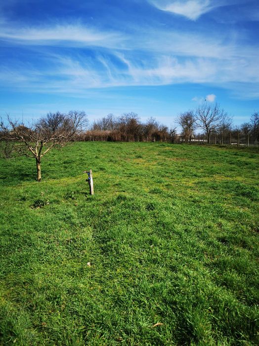 Casa batraneasca cu teren