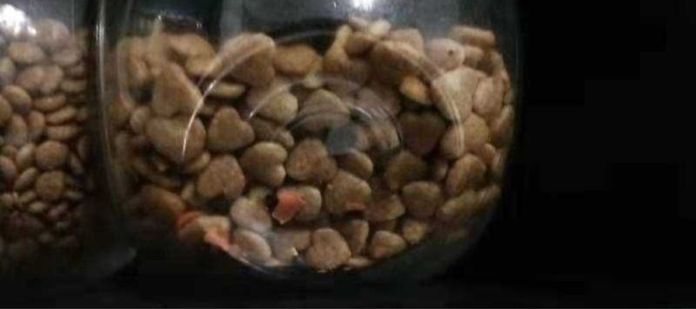 Плющилка сельхоз