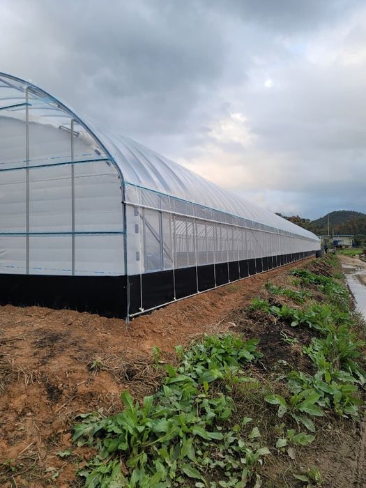 Карейская теплица