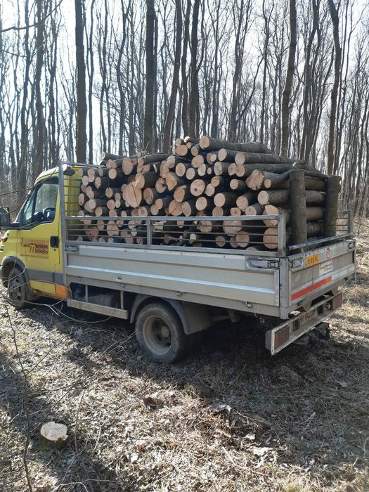 Lemne de foc salcam uscat la cel mai mic preț
