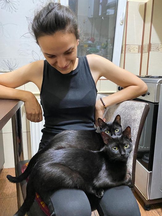 Pet sitter/ Cazare animale de companie (caini, pisici, pasari etc.)
