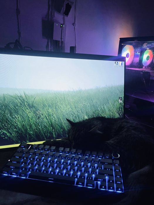 Монитор и процессор с комплект