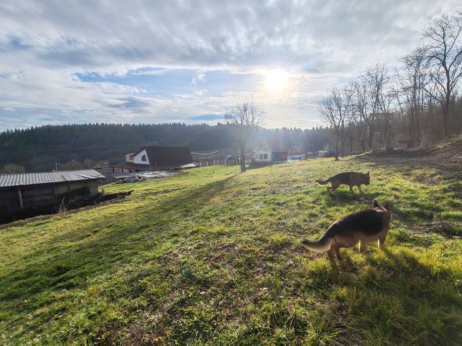 De vânzare casa traditionala cu 3600 mp