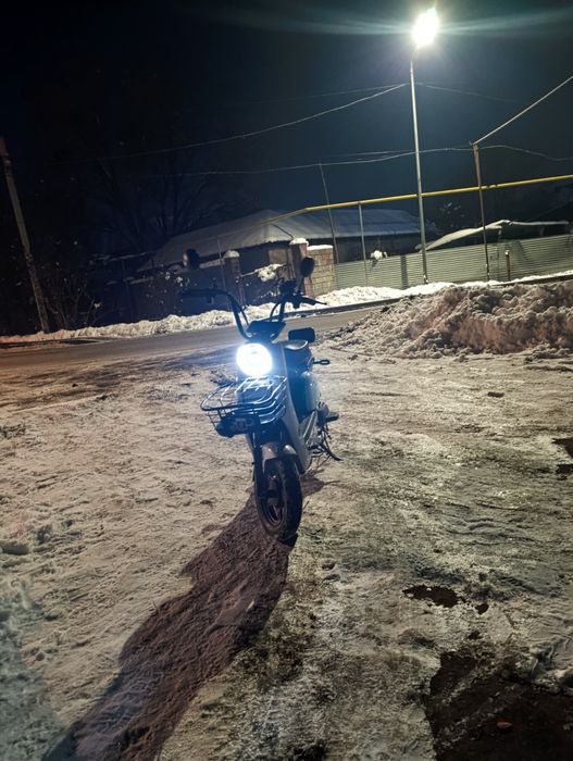 Модель: Caravan.