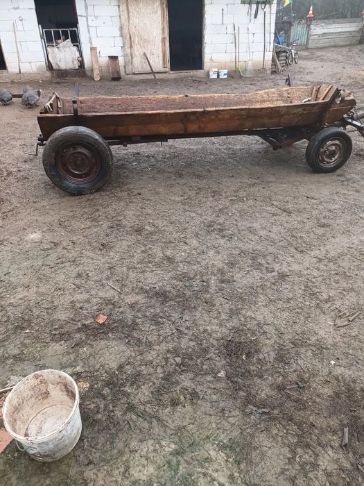 Vând iapa cu tot cu faiton