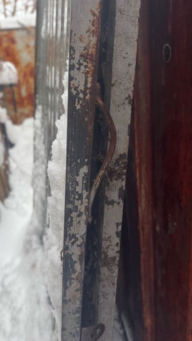 Продам двери из профлиста 3 шт.