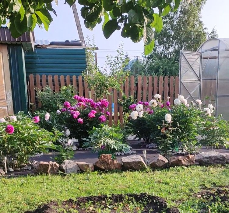 Продам дачу, Гудок