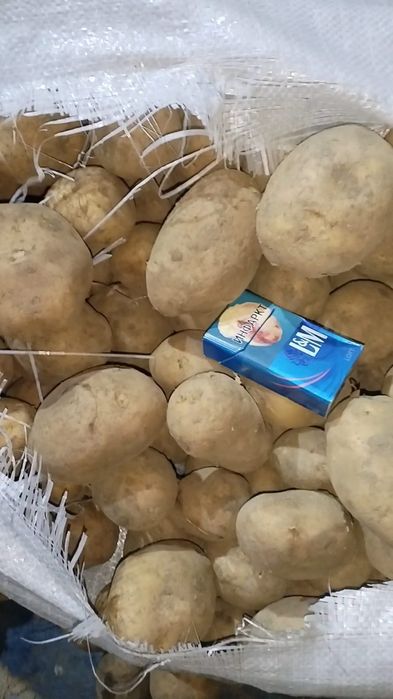 Продам картошку со склада Кх