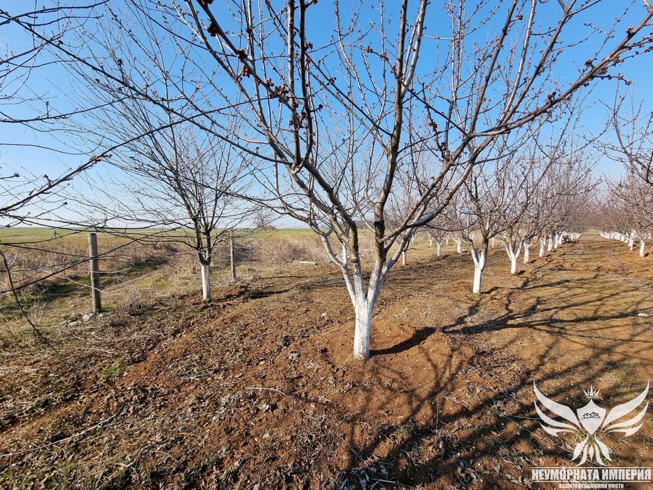 Продавам овощна градина 5421кв.м. в село Долнослав общ.Асеновград