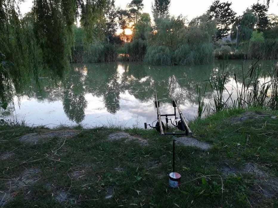 Vand balta pescuit jud Sibiu
