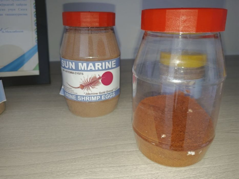 Artemiya cistasıga dastlabki qayta ishlash va saqlash (+Laboratoriya)