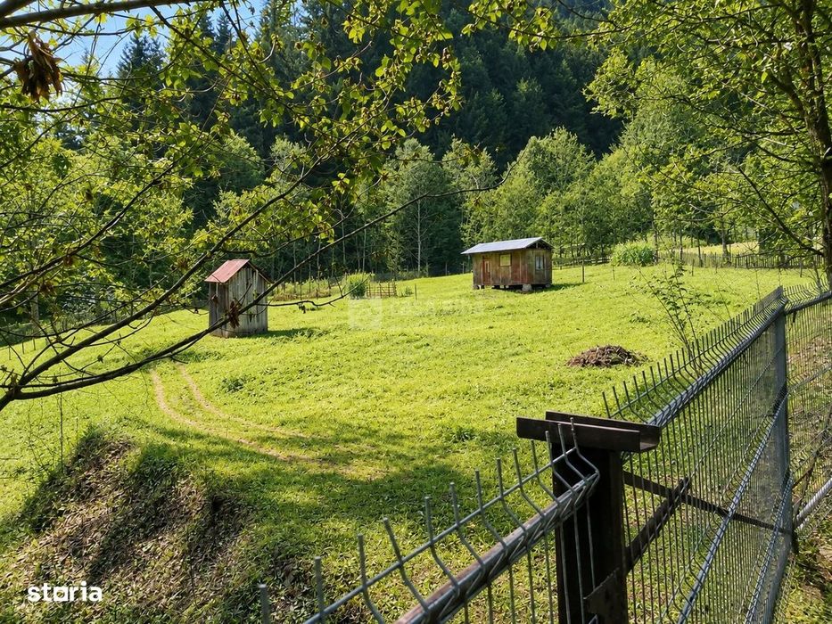 Neamt - Borca, teren 3386mp, langa padure