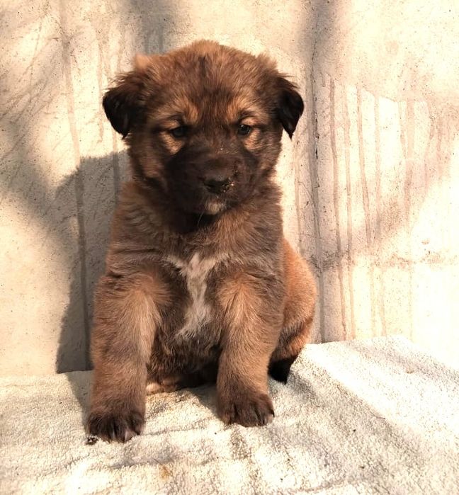 Добрые люди отзовитесь