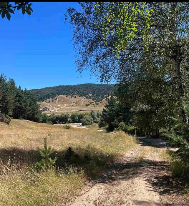 Продава се Парцел в с. Баня, Област Благоевград - 4840 кв.м за 7 €/кв.м - Снимка #2