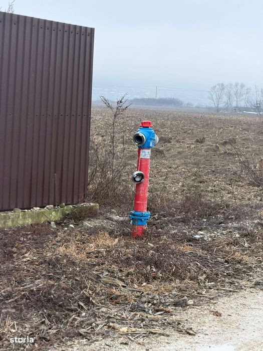 Vand Teren Hemeiusi sat Liliecipe strada prelungirea crinului
