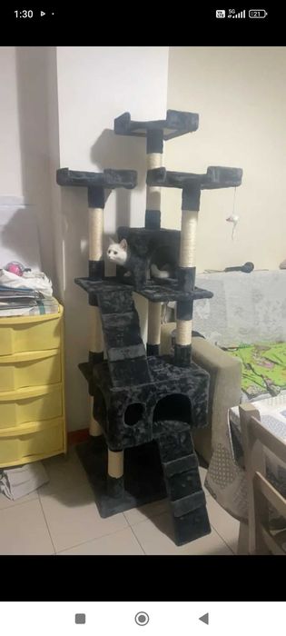 Катерушка за котки