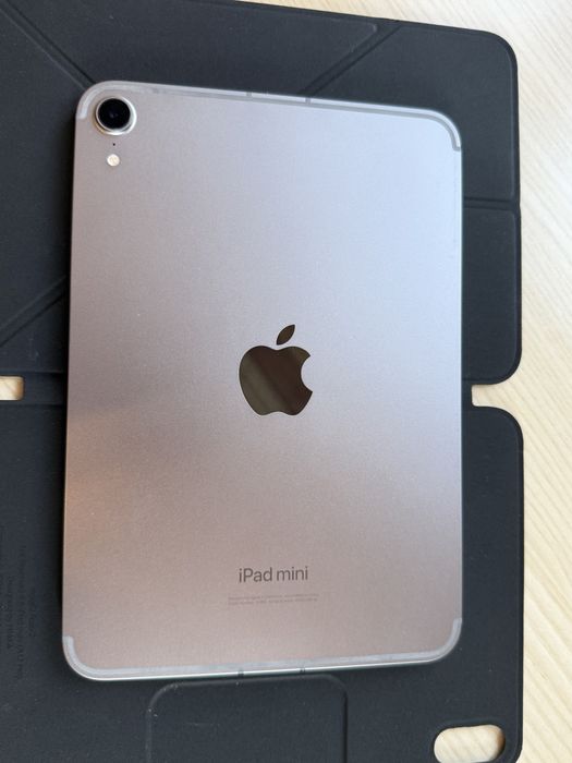 iPad mini A17 Pro 128GB Cellular 5G Space Gray + PITAKA