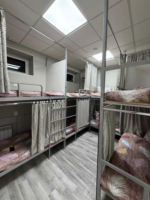 Xostel Zamir yangi shinam joy