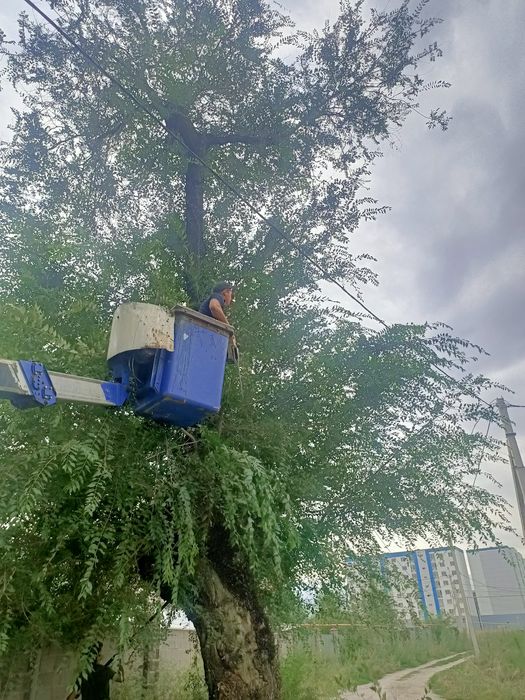 Автовышки АГП Алматы и область