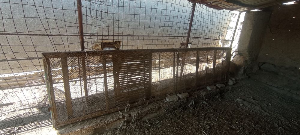 Telechka setka sotiladi 2 uzuni