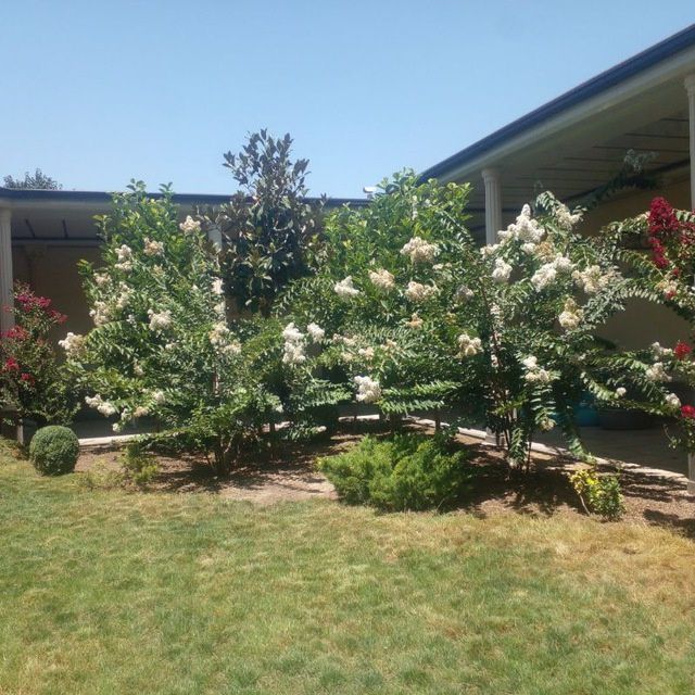 Sadovnik bogʻbon xizmati