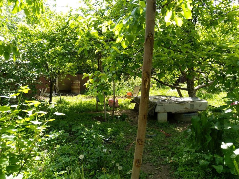 Дом в Мынбаево 35 км от Алматы