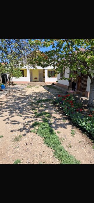 Casă de vânzare  comuna Țifesti,sat Batinești