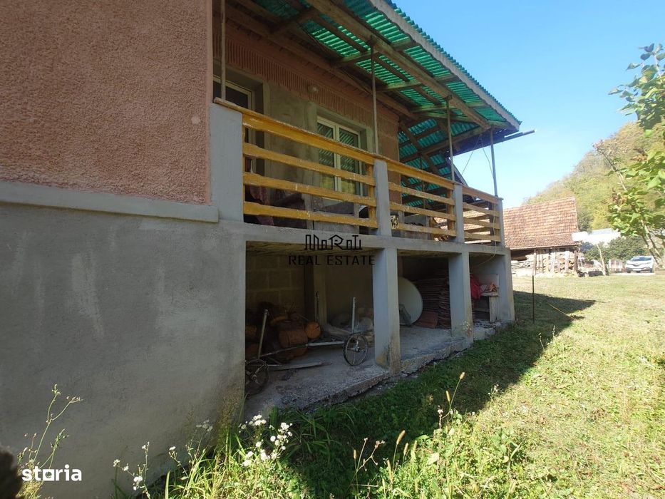 Doua case, teren si padure in Mihaileni - Buces