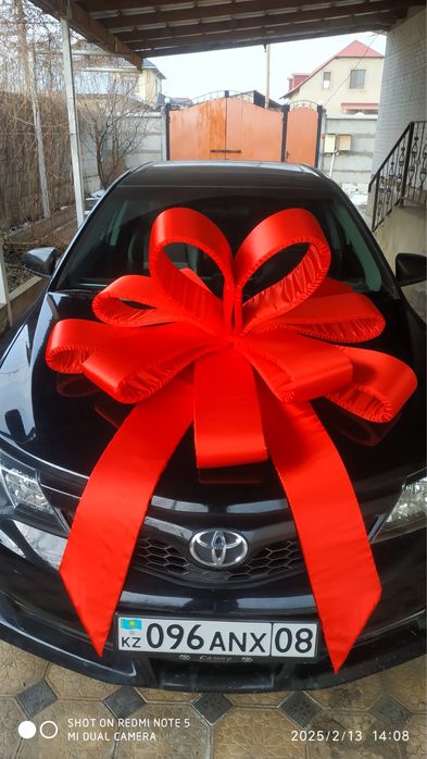 Прокат Бант на авто