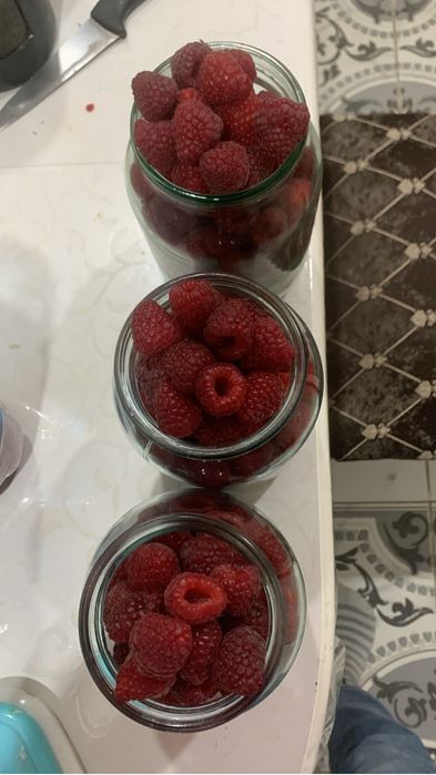 Продам малину дачную