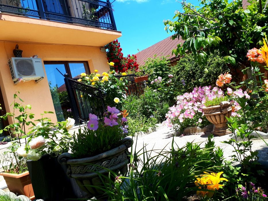 Vand casa p+1+mansarda